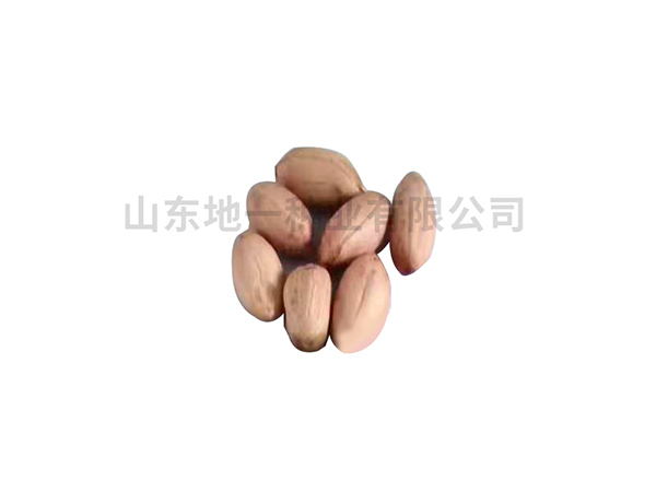 適合在哪些地區(qū)進(jìn)行花生種植